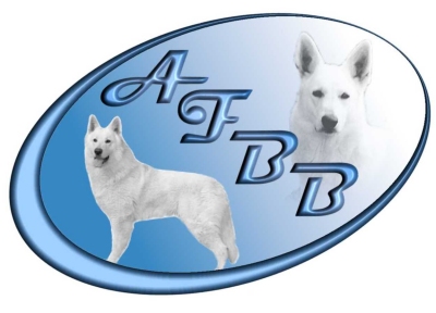 Association Française Berger blanc